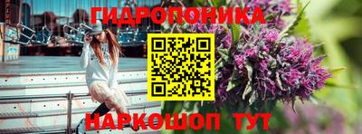 крисы Бузулук