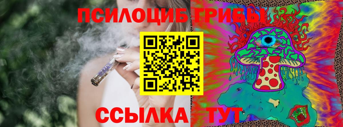 Галлюциногенные грибы Magic Shrooms Междуреченск