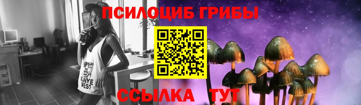 купить закладку  Вход с VPN  Междуреченск  Псилоцибиновые грибы GOLDEN TEACHER  Галлюциногенные грибы Cubensis 