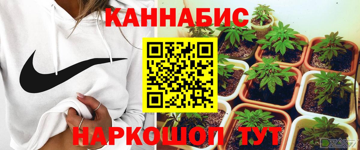 Марихуана LSD WEED  Вход с VPN  Бошки марихуана марихуана  Конопля Amnesia  Междуреченск 